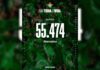 El Real Betis roza el lleno con un 97,3% de renovaciones
